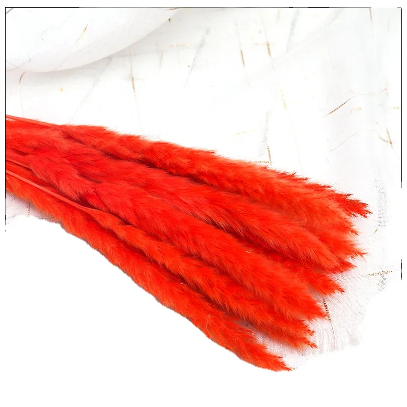 15pcs/bundle  60CM Dried pampas grass Eternal flower Amazon hot sales Decorative Flowers & Wreaths length cuttable