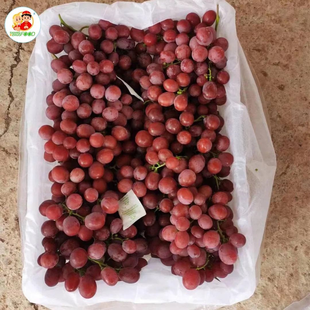 new crop Fresh Grapes Red Globe Purple Box Sweet  Style June Storage Packing Global GAP Color Origin Type Season Variety Size
