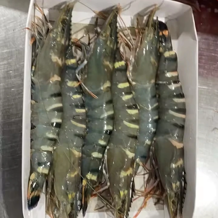 Высокое качество Черный Тигр креветка черный тигр креветки