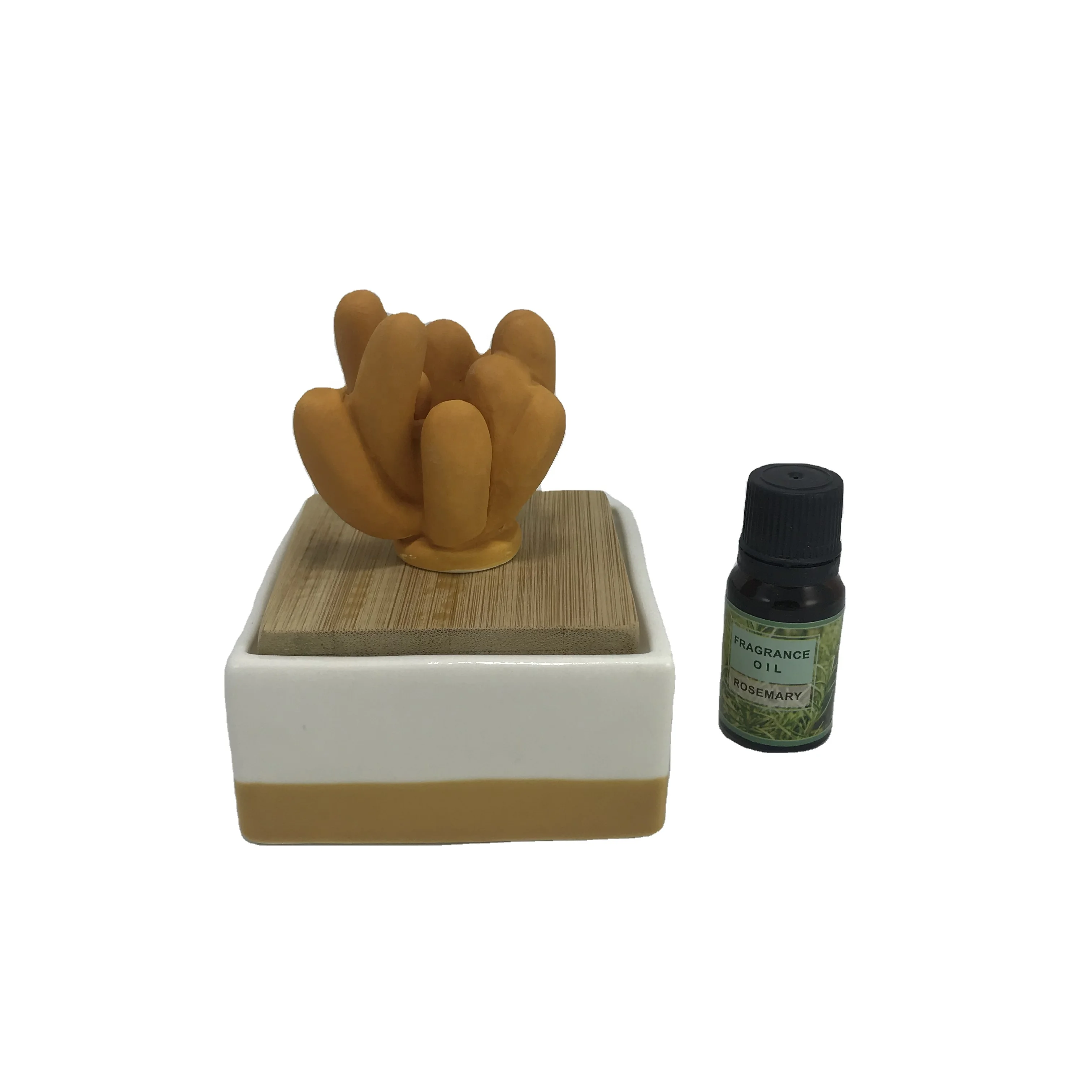 New ceramic succulent flower essential oil diffuser with ceramic bottle