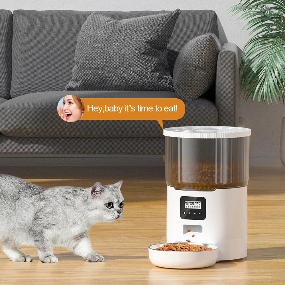 New pet automatic feeder black smart cat feeding machine WIFI remote video no card food pet bowl
