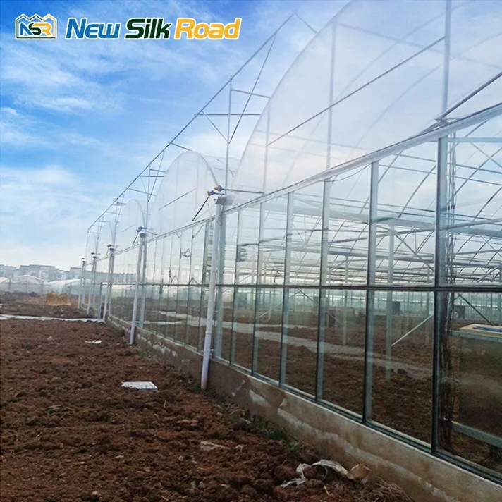 NSR Greenhouse China Economical Plastic Film Vegetable Tunnel Greenhouse greenhouses for tomatoes agricultural For Sale