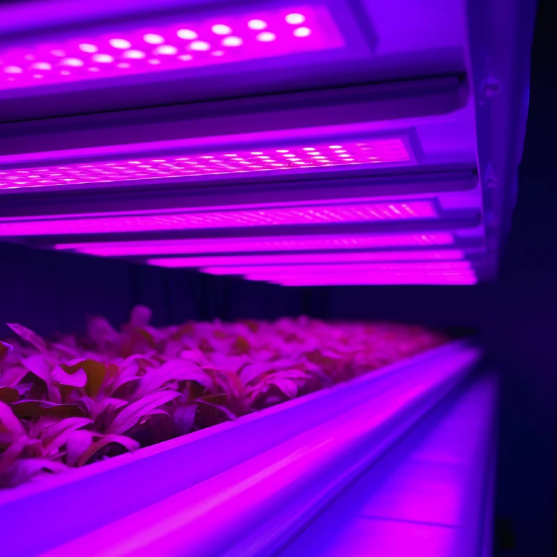 Sansi LED Light Manufacturer Full Spectrum Dimmable LED Bulbs Grow Light Strip For Indoor Plants  For Indoor Greenhouse,Seedling