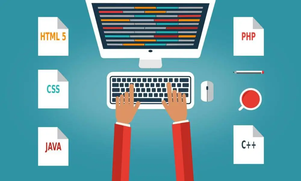 HR & Payroll Software