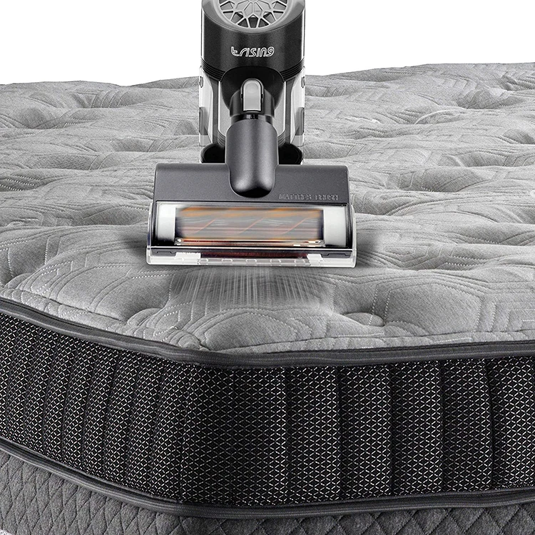 2 in 1  rechargeable  vacuum cleaner 22.2V  BLDC motor  EV-6801