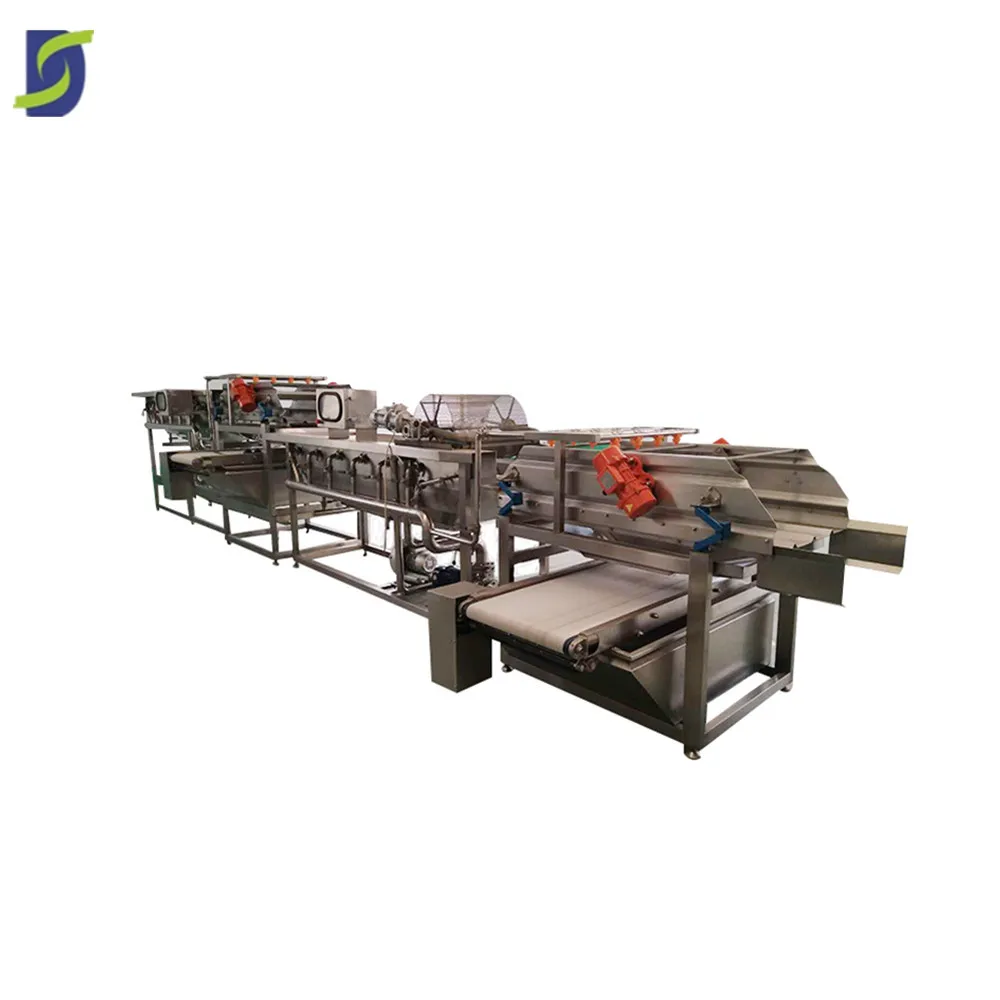 continuous belt type carrot brush polish washing machine removing the soil for vegetable process factory