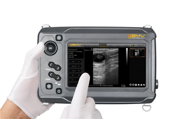  BestScan S6 сенсорный ручной Ветеринарный ультразвуковой сканер ветеринарная ультразвуковая система для большого сканирования