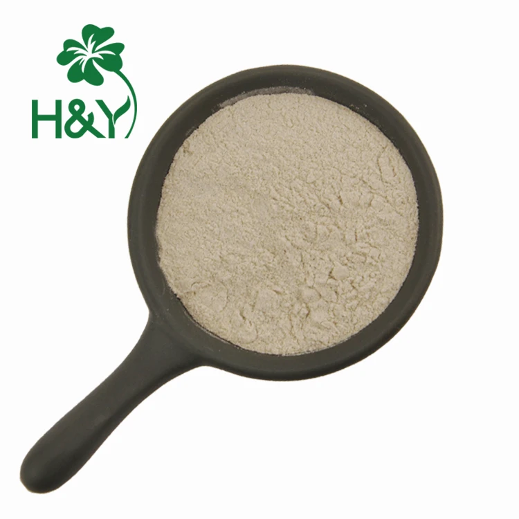 Натуральный морской мох chondrus crispus лидер продаж порошок ирландского Моха поставщик