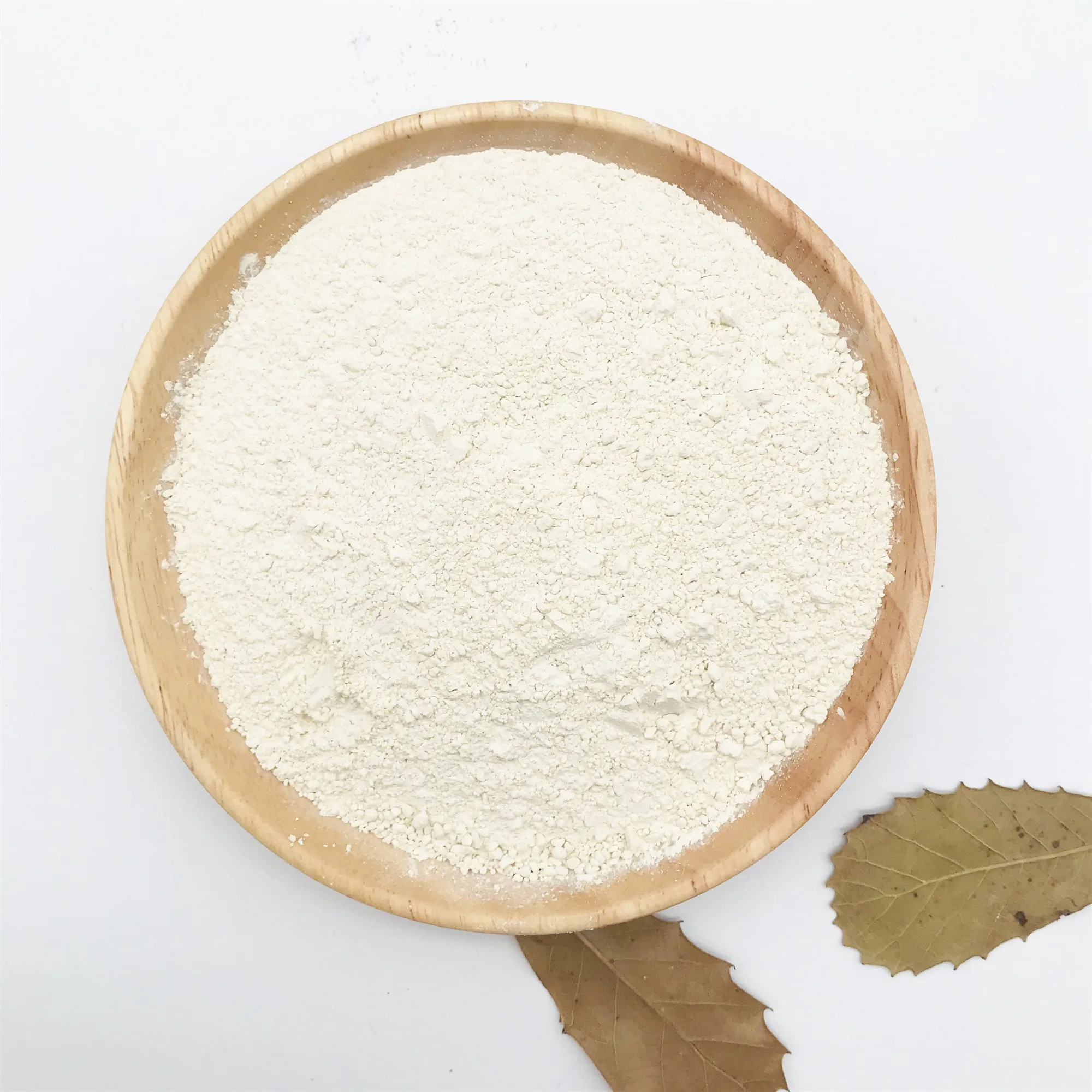 300Mesh 600Mesh high quality food flavour rice protein for dairy food