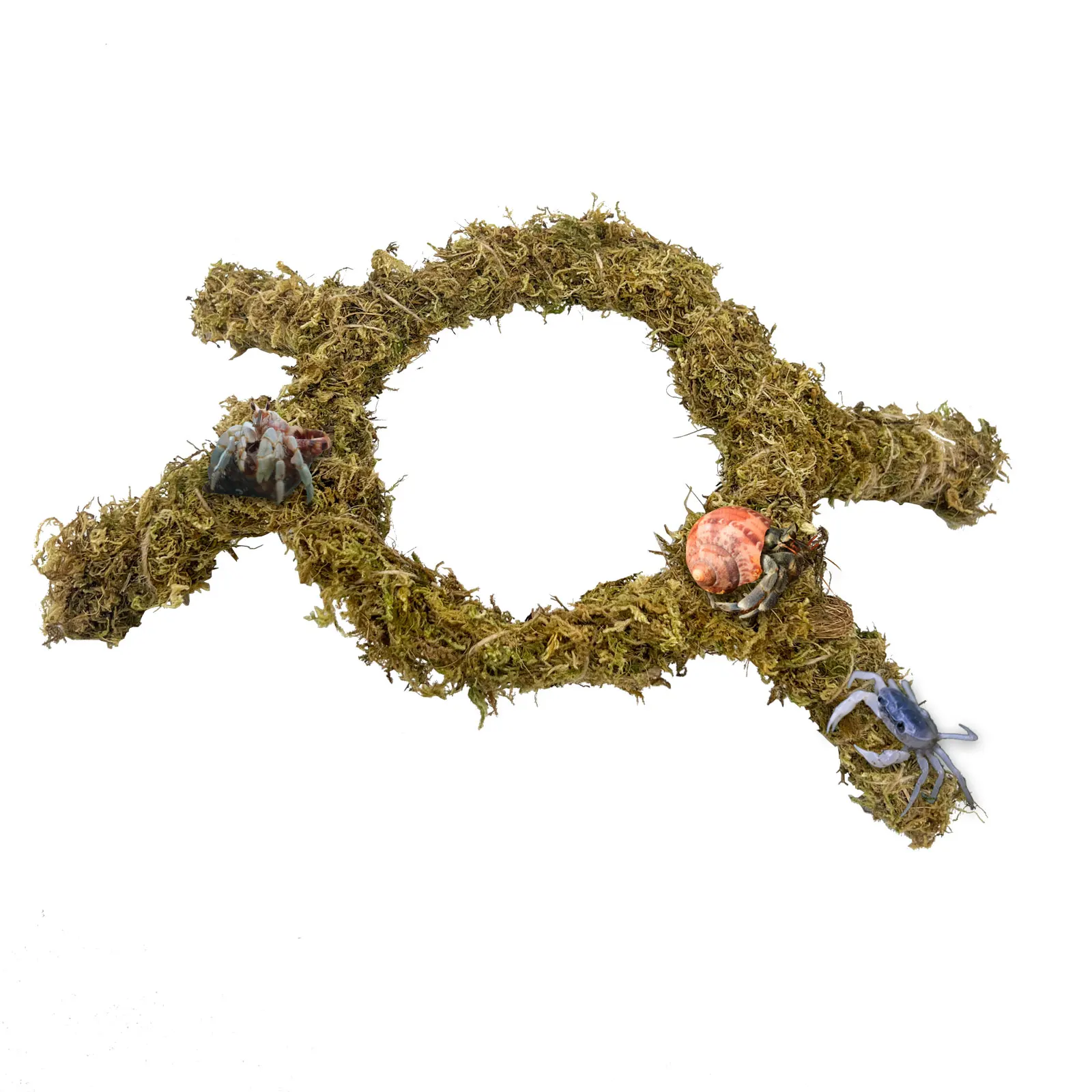 Innovative Moss Rack, Boosting Aquatic Creature Swimming and Hermit Crab Climbing
