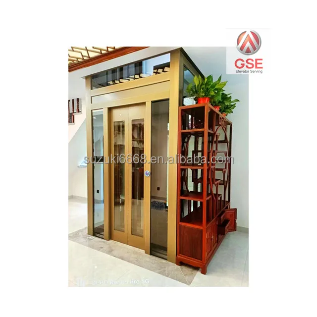 GSE Selling elevators for homes Suzuki elevator Small Villa Indoor Elevator Outdoor