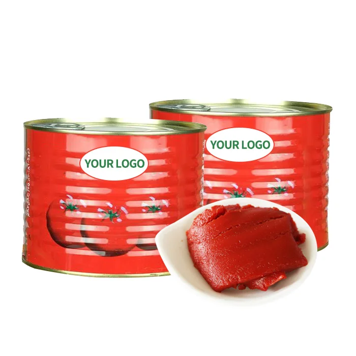 sterile bag  22-30% Tomato Sauce 10kg Tomato Paste Manufacturer
