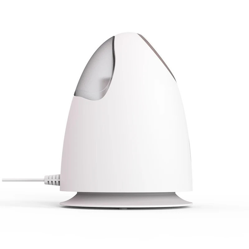 Humidifier Face Nano Mist Sprayer Custom Private Label Electric Home Mini Ionic Spa Professional Facial