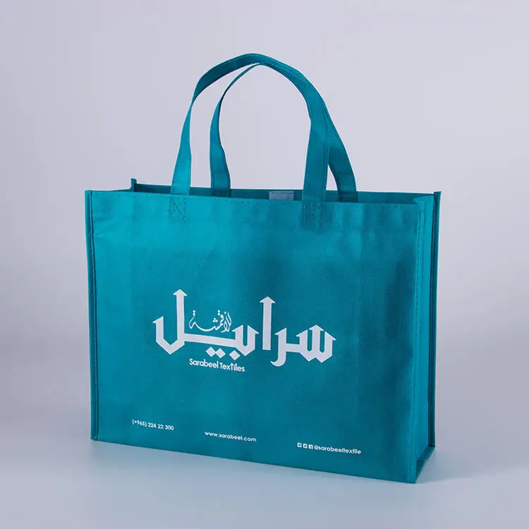 Free Sample Recycle PP Laminated Strong Ecological Eco Grocery Tote Carry Big Reusable Supermarket Shopping Non Woven Bag