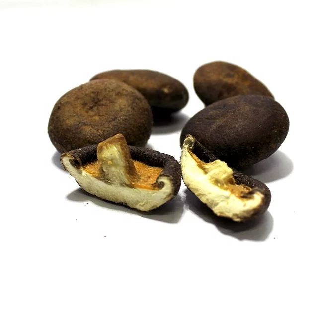 Factory Price Black Dried Shiitake Mushroom Dry Shiitake Mushrooms