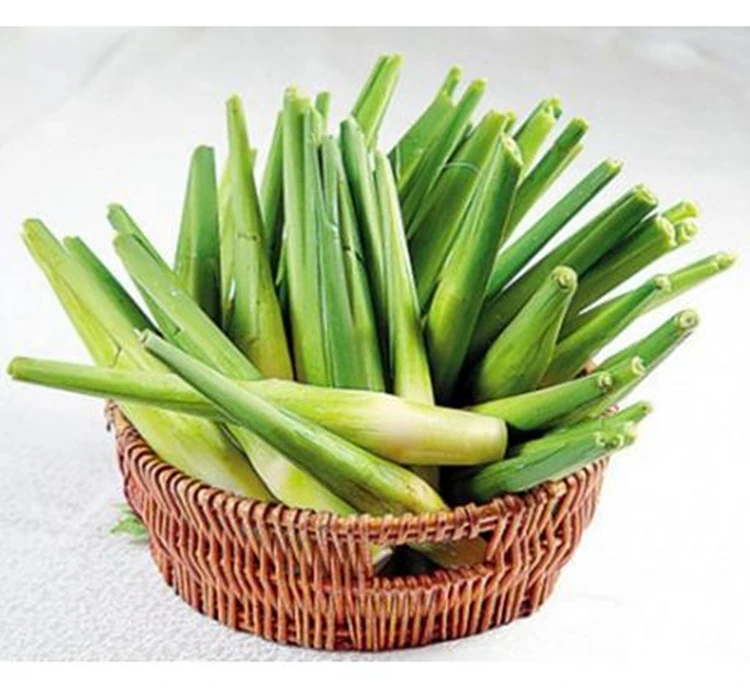 Wholesale High Quality Fresh Water Frozen Vegetables Bamboo Shoot Strips