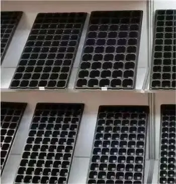 18 20 24 36 40 45 Cells PS Seed Tray Plastic hydroponic system  for nursery of vegetables plastic seedling tray