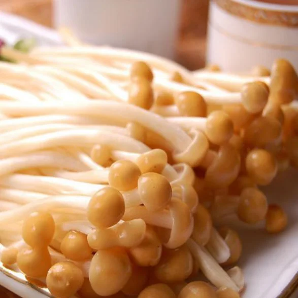 
2020 Fresh Enoki Mushrooms with 100g package Factory direct sale 