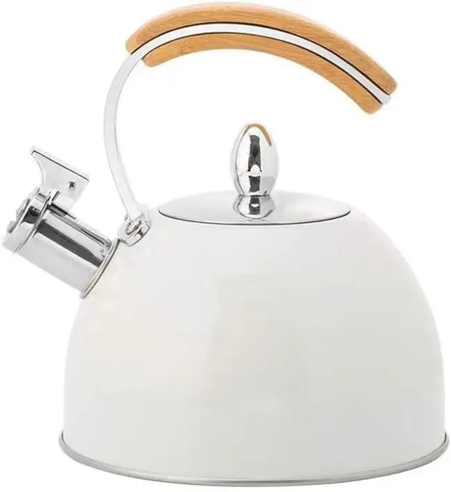 Kettle for Gas Stove Water Boil Stainless Steel Coffee Boil Teapot Stovetop Hot Water Kettle Whistling