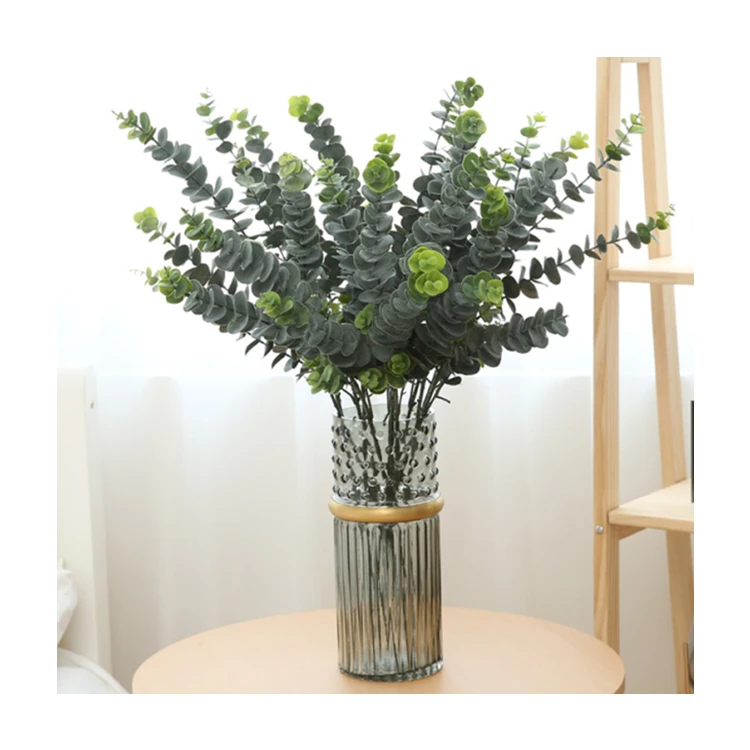 Best Quality Home Decoration Stem Preservation Eucalyptus Leaves With Cheap Prices