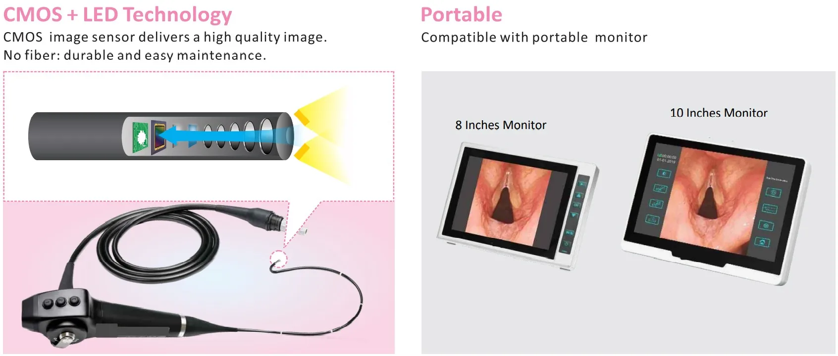 LTEF22A Cheap Price Digital Rhinolaryngoscope Hospital Flexible Video Rhinolaryngoscope For Medical