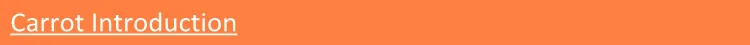 carrot-introduction.jpg