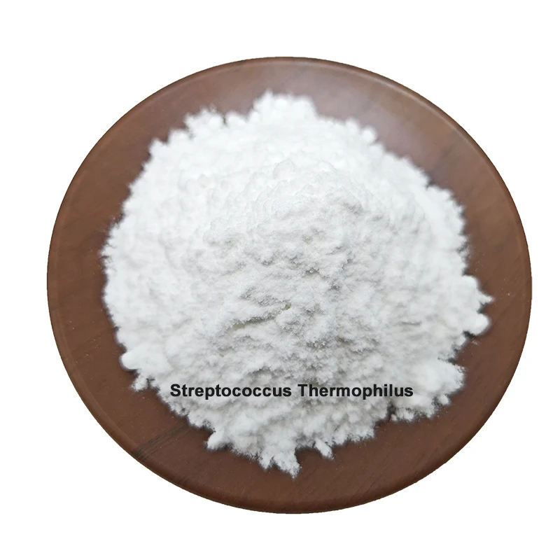 Plant extract Probiotics Freeze Dried Streptococcus Thermophilus Powder Streptococcus Thermophilus