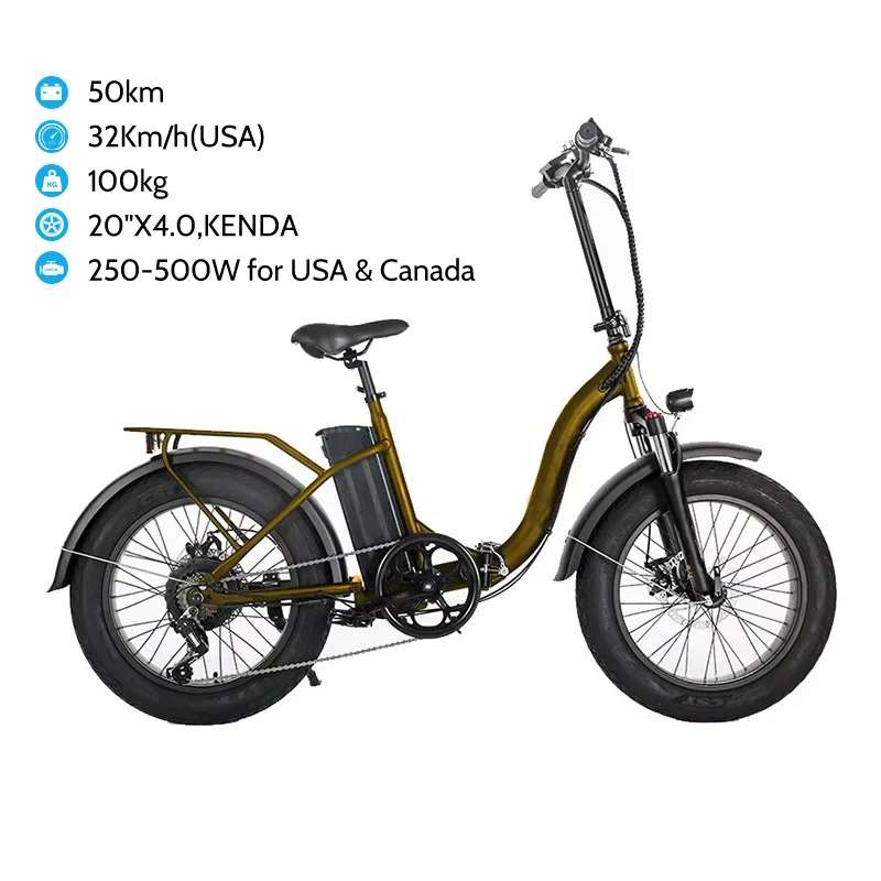 48V 250W Beach Fat Tire Electric Bike 20inch Ebike With Very Cheap Price