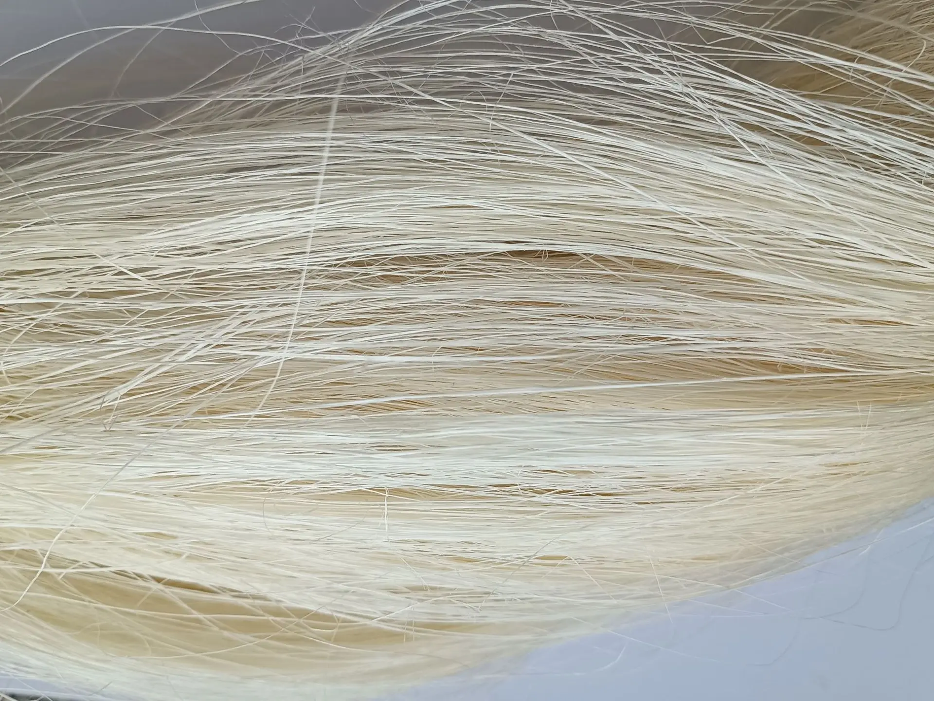 Natural sisal fiber, can be used in the construction industry, ship mooring rope material, tensile and corrosion-resistant