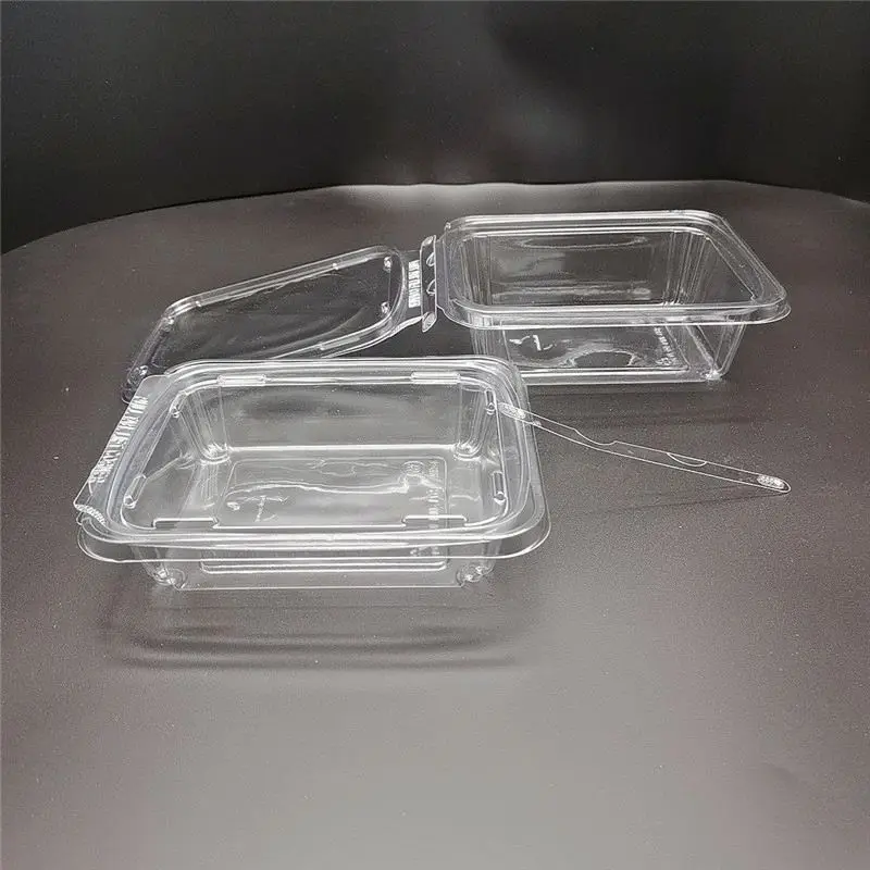 100% Food Grade Biodegradable Disposable Pla Salad Bowl