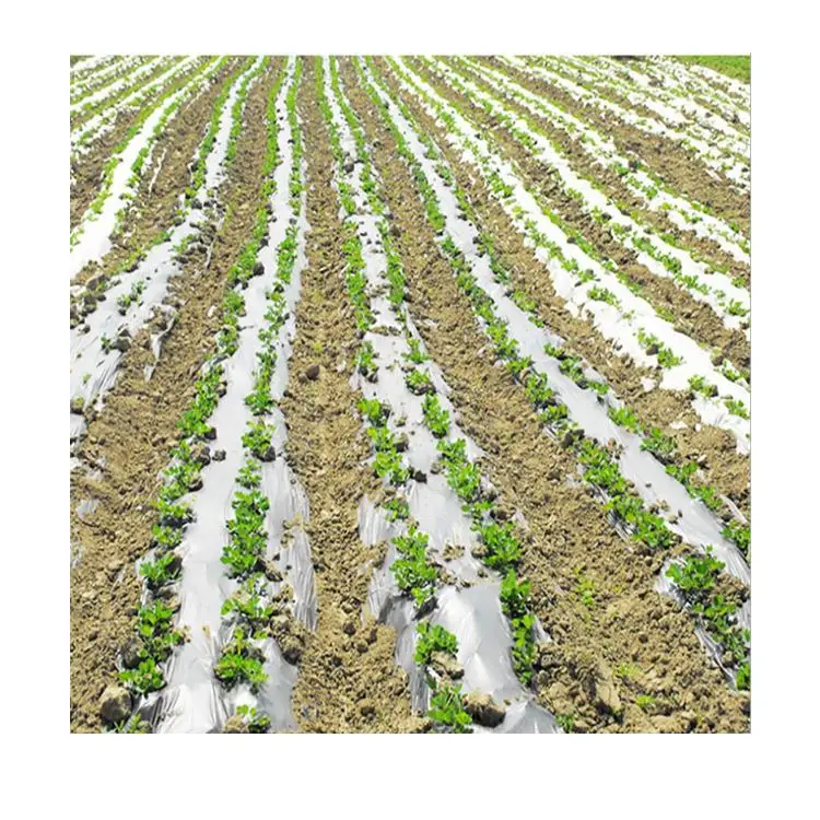 Biodegradable Plastic Mulch Film Silver And Black Mulch Film Agricultural Invernadero