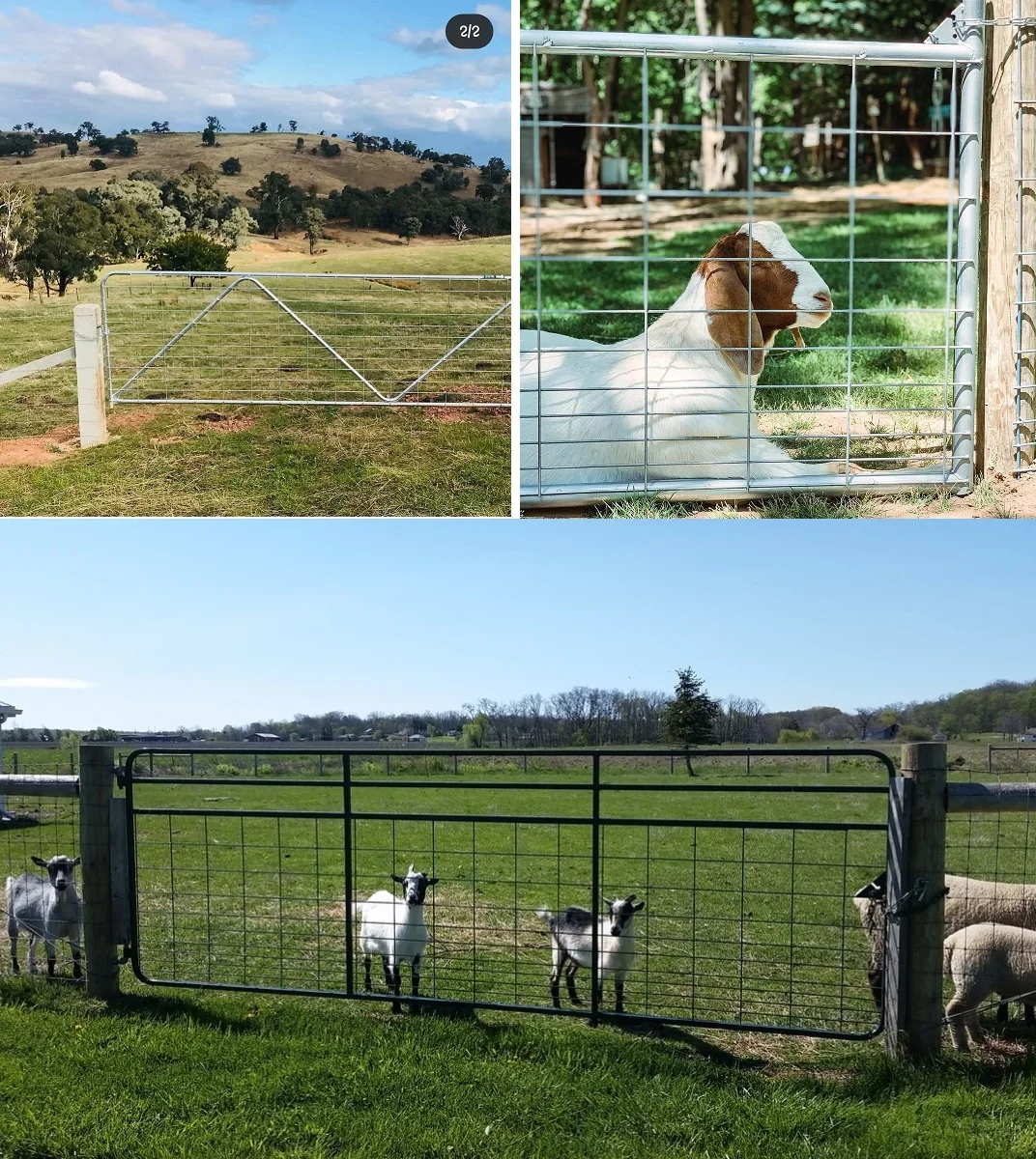 Modern Steel Pipe Farm Gates &Livestock Corral Panels/13ft  Farm Yard Field Gates With Factory Price