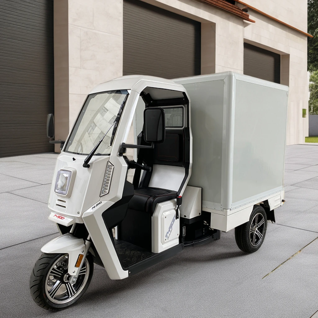 Goody Van with Truck Box 3KW 4.5KW EEC motor Lithium Battery Three Wheel Electric Automatic Adult Electric Tricycle