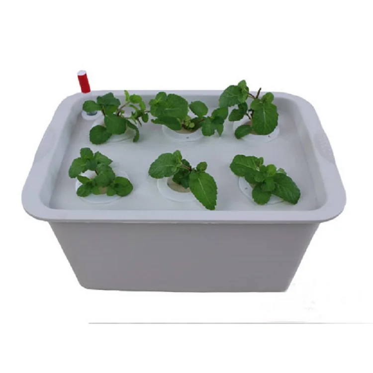 Small Hydroponic Systems Box 6/11/24 Holes Vegetable Soilless Cultivation Indoor Plant Seedling Growing