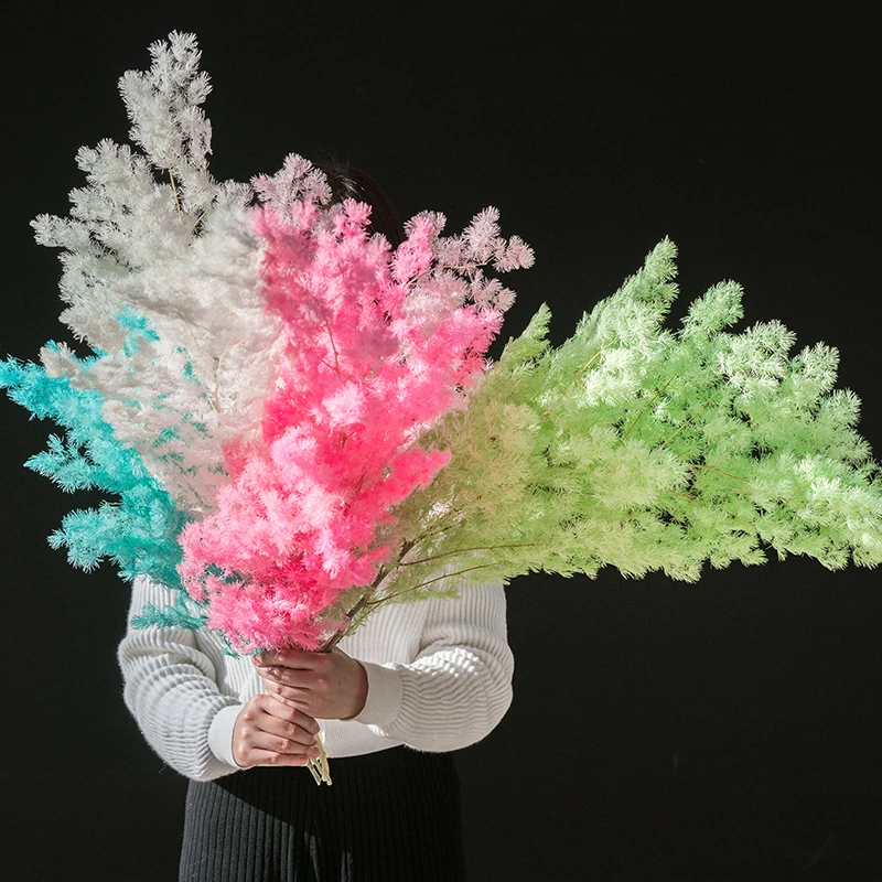 wholesale New Arrival Natural Everlasting Flowers Preserved Asparagus myrioeladus For Home Decoration