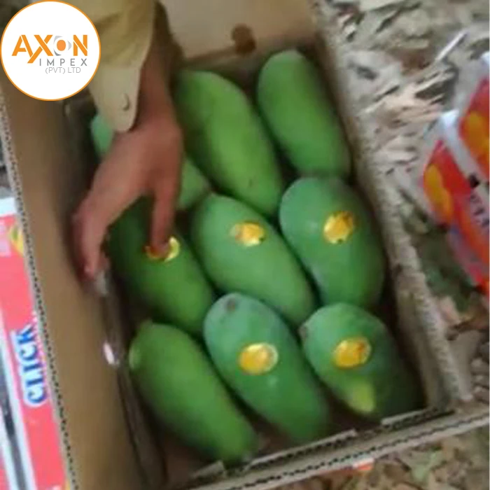 
pakistani mango/ Fresh Mango Exporter from Pakistan 