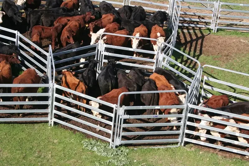 2024 Hot sale Cheap Field Yard Horse Goat sheep corral panels Farm Fence Panels Cattle Fence on Farm with high quality