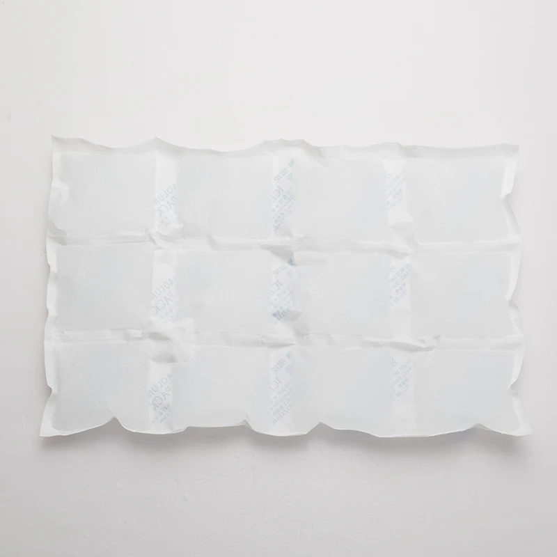 BSG 290*195mm 12pcs in one  Ice Packs For Injuries Disposable Bulk Dry Ice Pack Flexible Ice Pack For Lunch Box