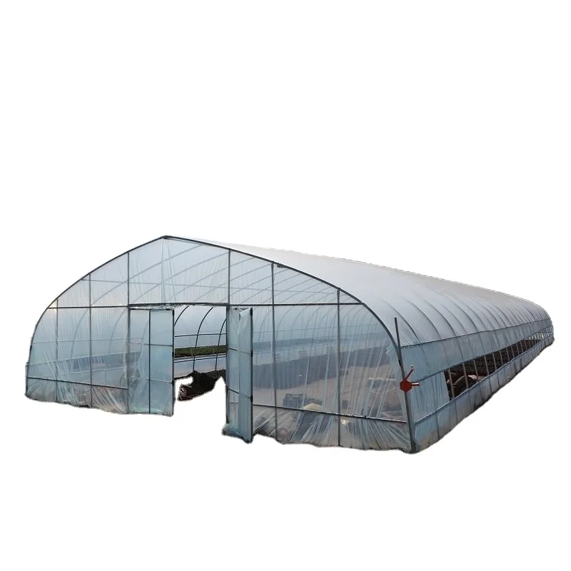 Shine-tech high tunnel agriculture greenhouse used for tomato hydroponic greenhouse for sale
