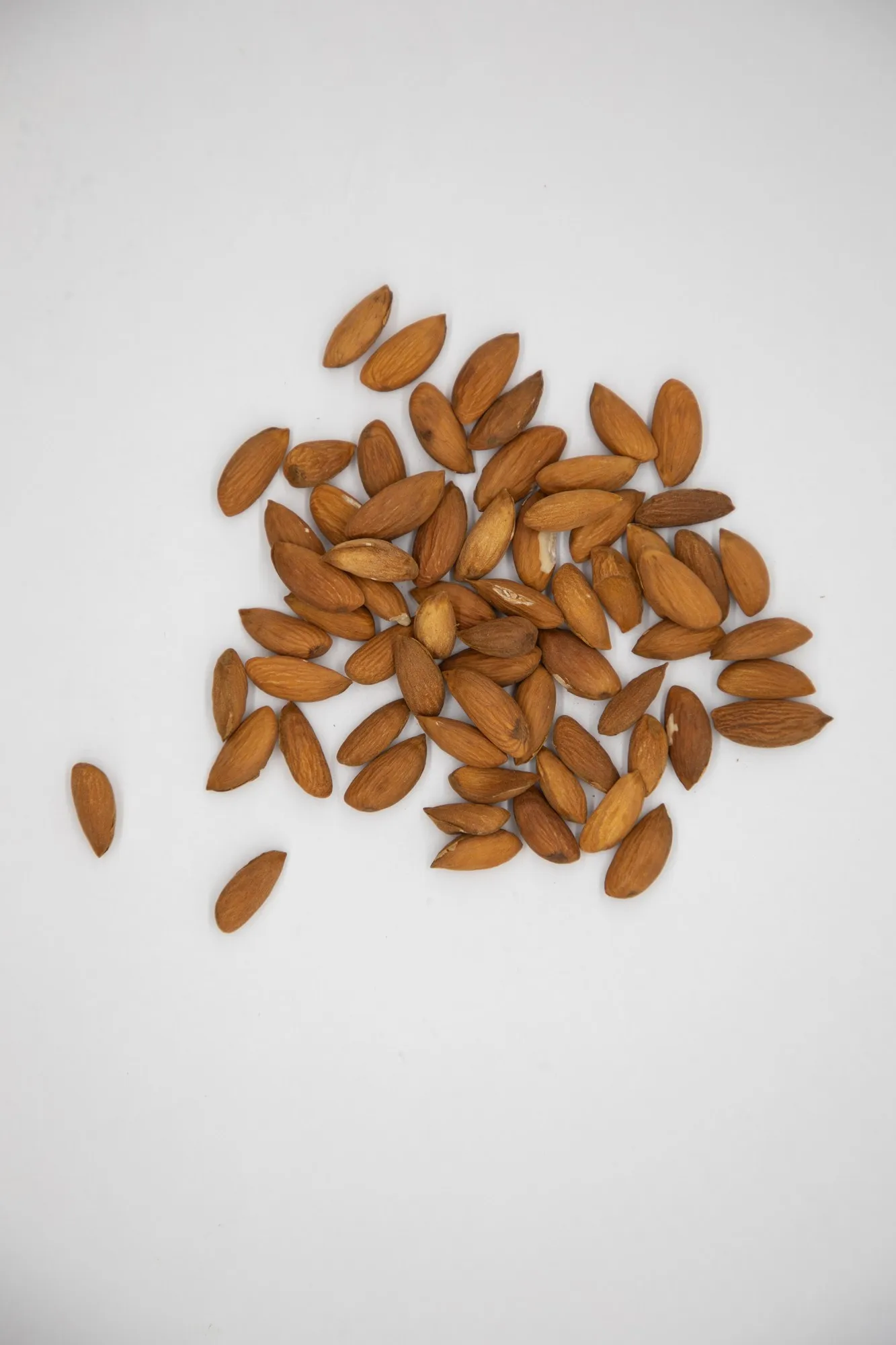 Healthy snack top grade organic almond kernels shelled almonds nuts in bulk from Uzbekistan manufacturer