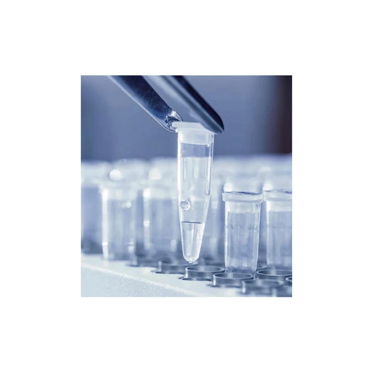 New design wholesale price Pcr Tube Lab Disposable Plastic 0.1ml 8 Strips Pcr Tube