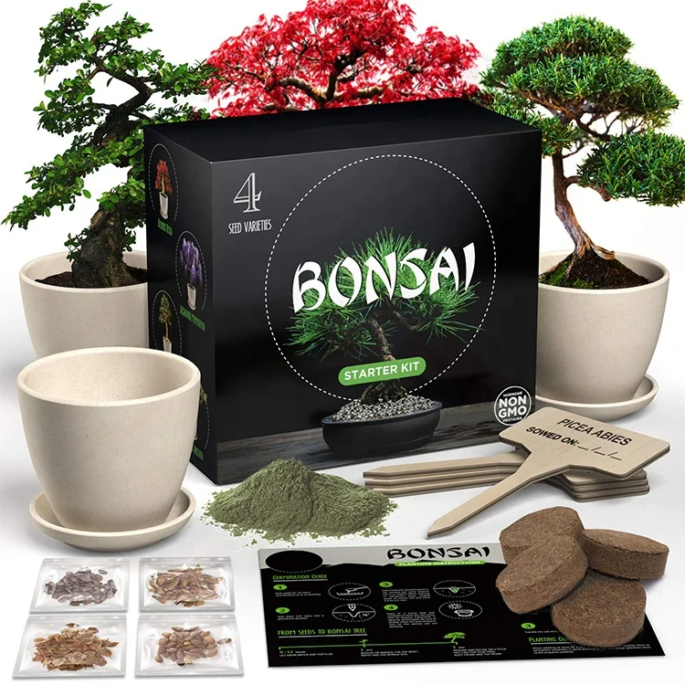 Home & Office Bonsai Tree Starter Kit Indoor DIY Growing Plant Gifts
