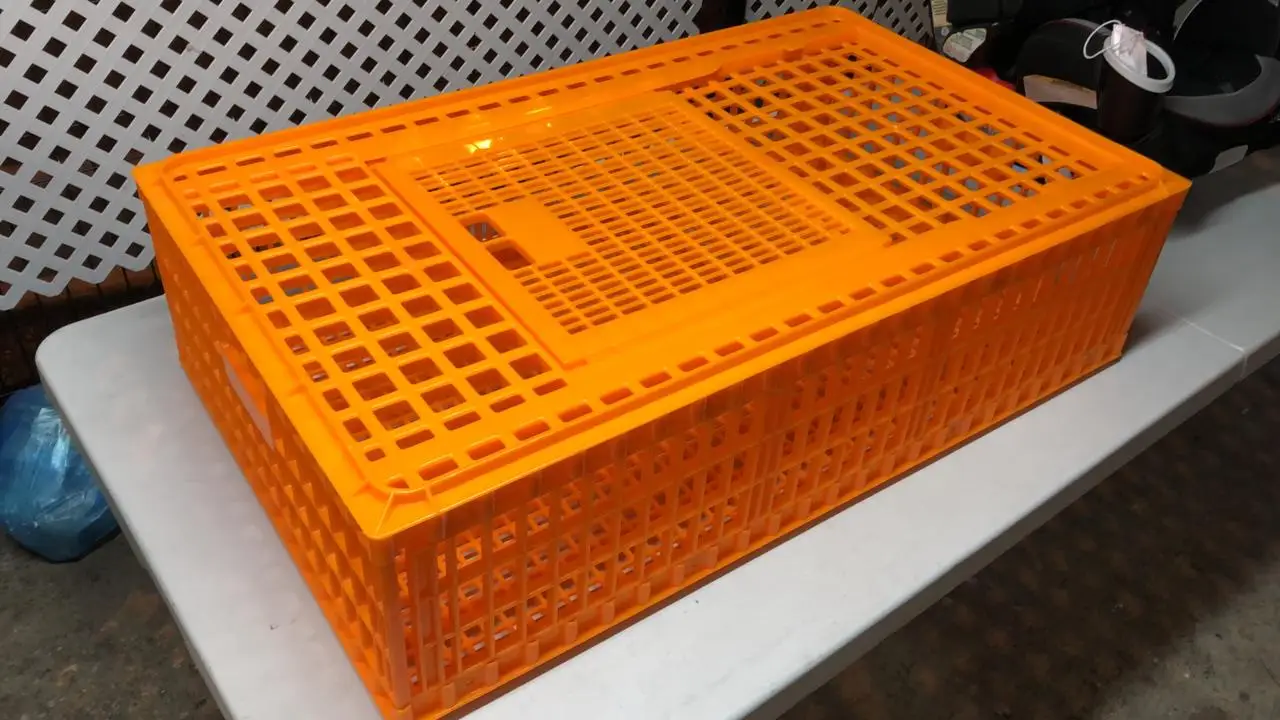 96x55x27cm Poultry transport crates for live chicken large chicken cage orange plastic chicken crates