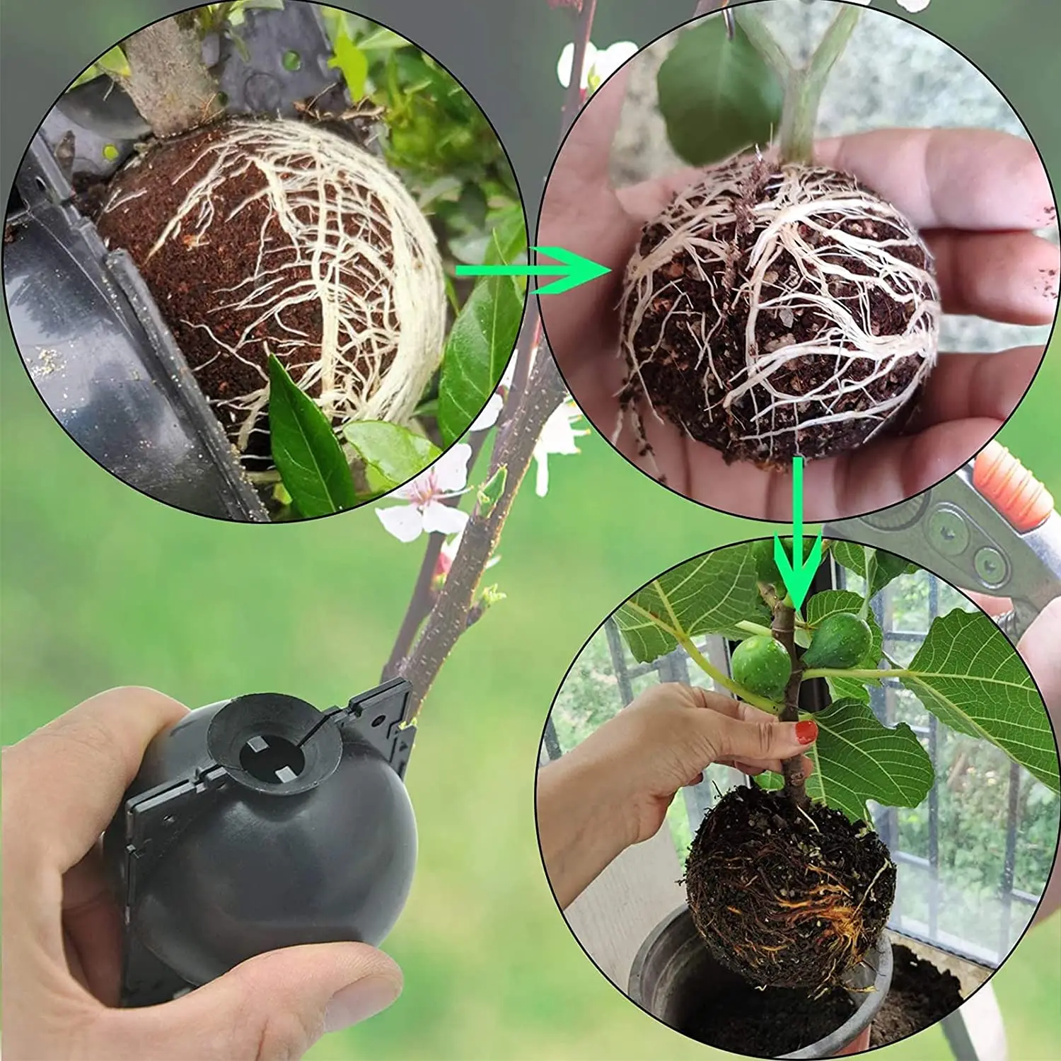 Reusable Plant Root Growing Box Air Layering Pods Plant Rooting Device Assisted Cutting Rooting