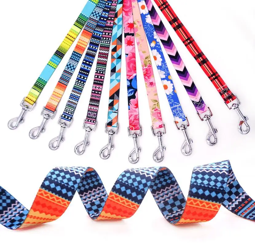 
New Product Unique Design Colors Nylon Dog Leash for Different Dog 