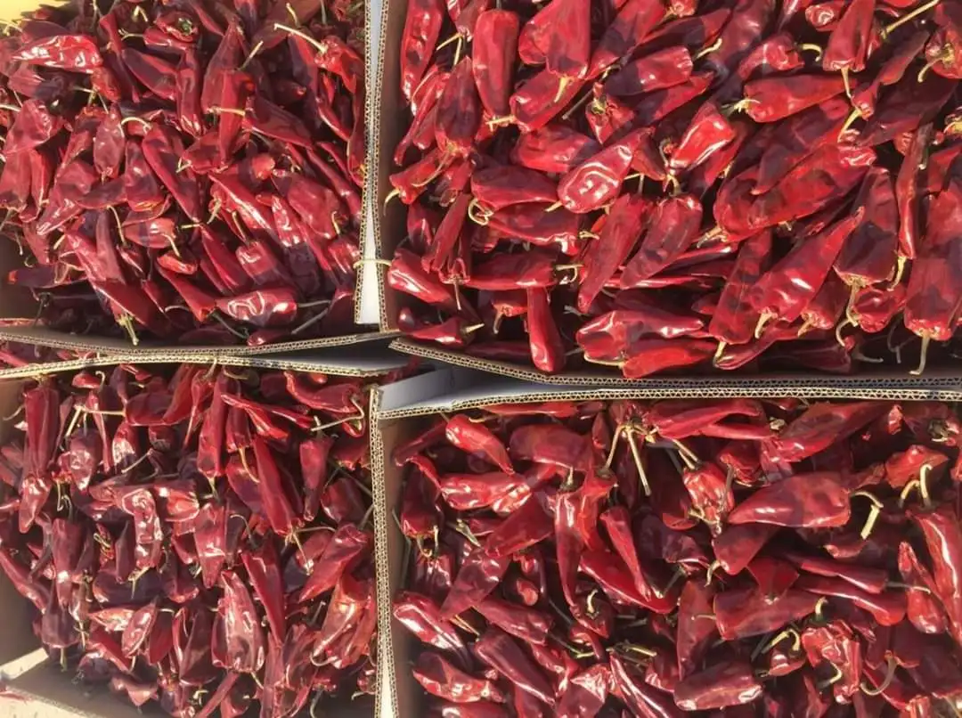 Single spices paprika and chilli single herbs seasoning peppers