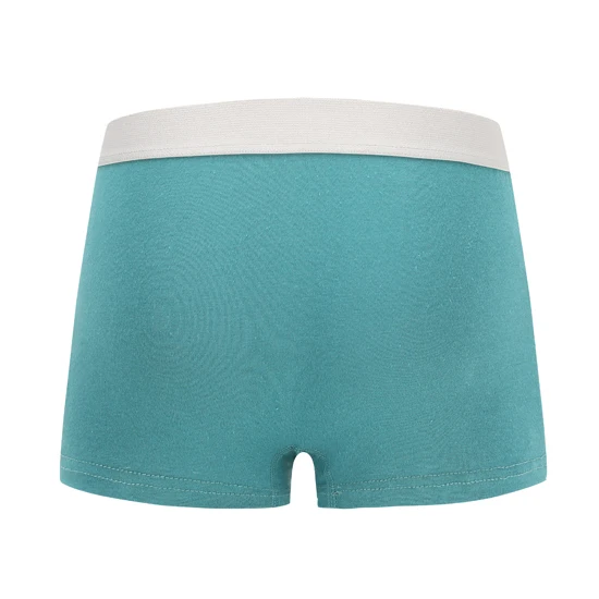 Factory Outlet Multi Color Boys Underwear Cartoon Pattern  Kids Underwear Soft Cotton Boys Panties