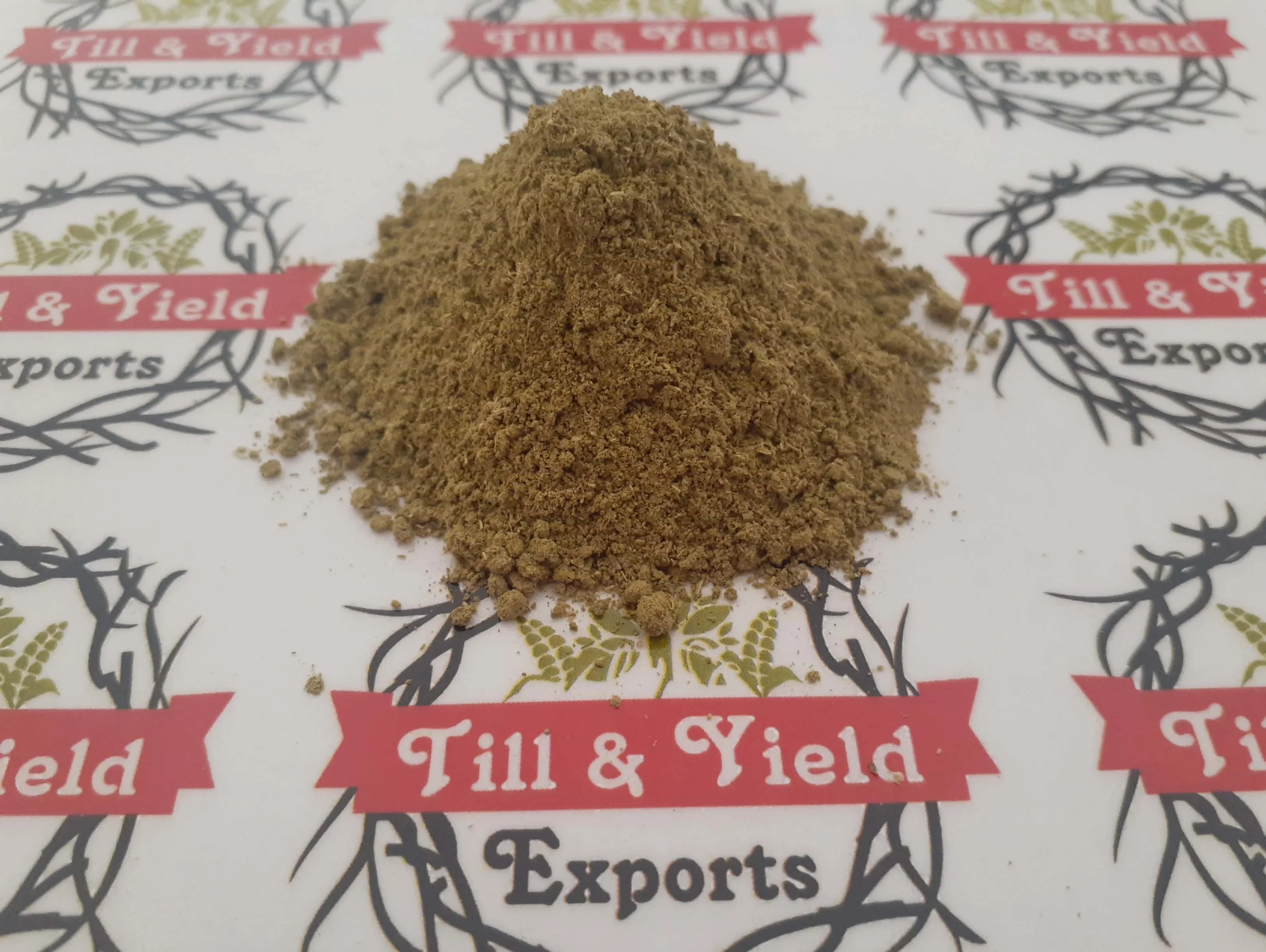 Peppermint Powder Mentha Arvensis Powder Pudhina Mint Leave Powder Useful To Relieve Spasm & Pain In Intestines