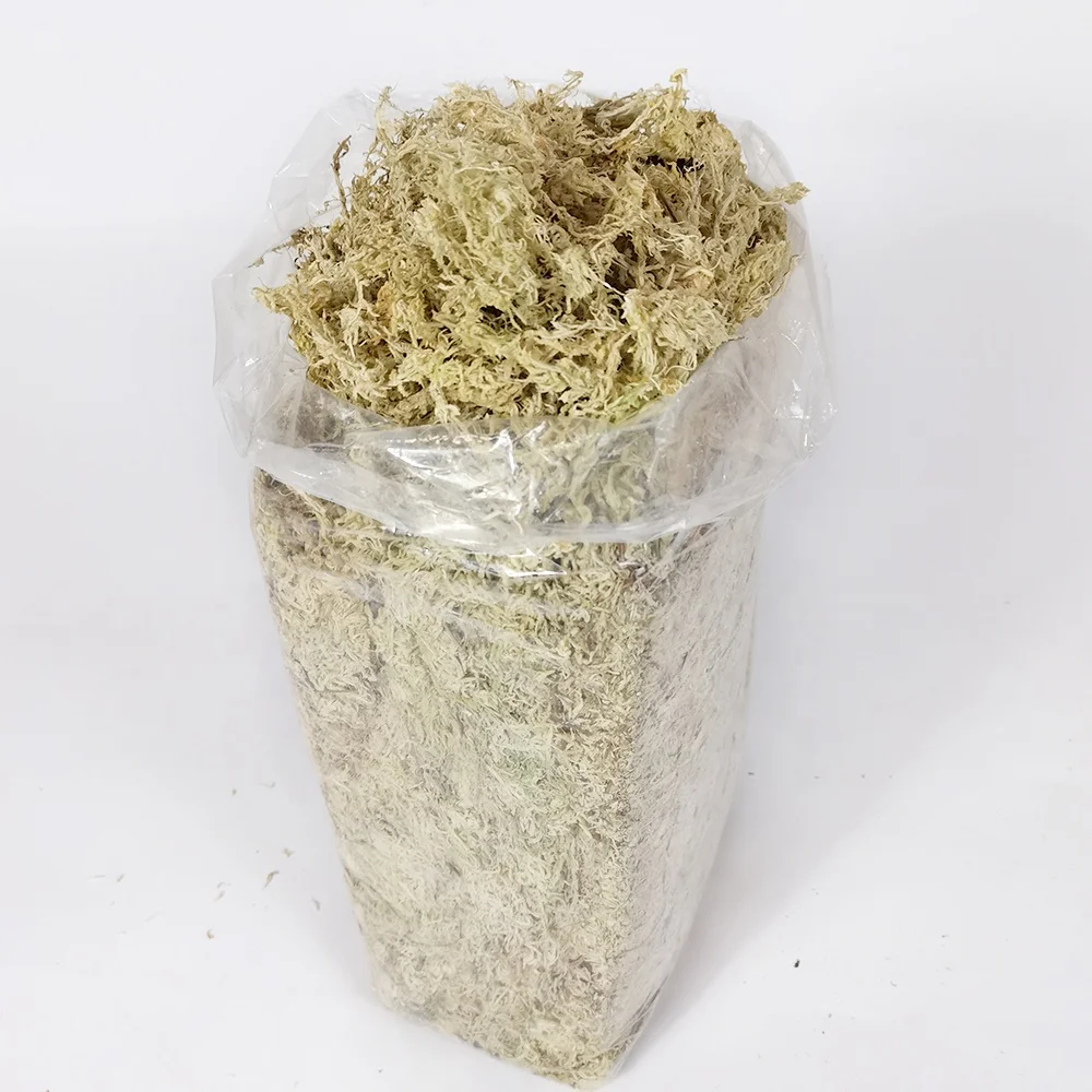High Quality AAAAAA Sphagnum Moss For Orchids Plantas Naturales And Reptile Subtrat 500G/Bag Long Fiber Sphagnum Moss For Sale