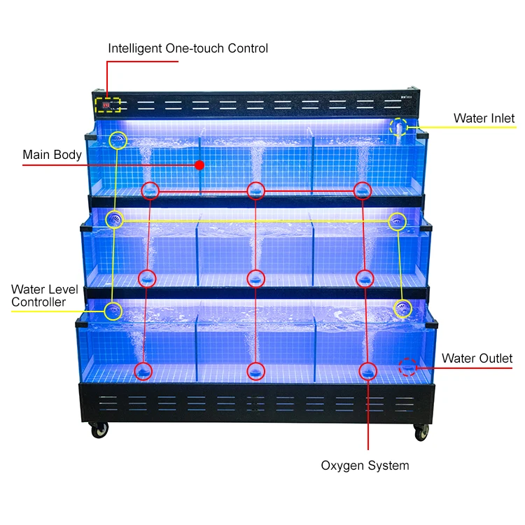 Customized Supermarket or Restaurant Chiller Live Shrimp King Crab Fish Seafood Tank Aquarium